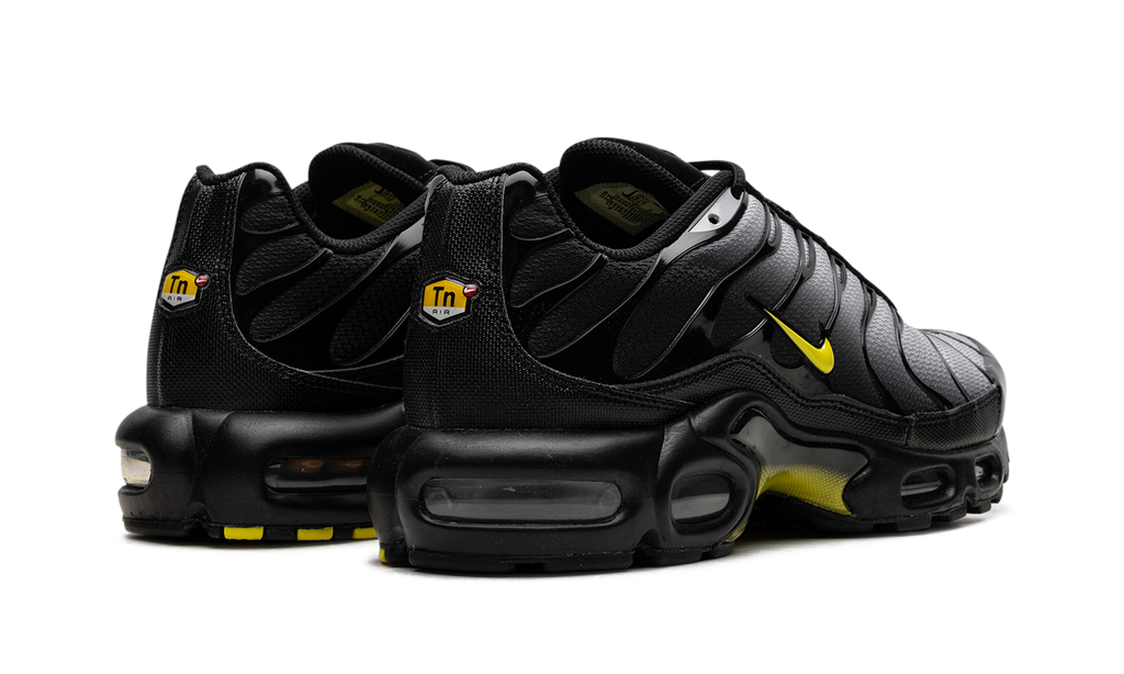 Nike Air Max Plus "Wolf Grey Opti Yellow" DM0032 012