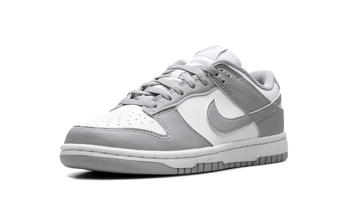 Nike Dunk Low Next Nature WMNS "Light Smoke Grey" DD1873 113