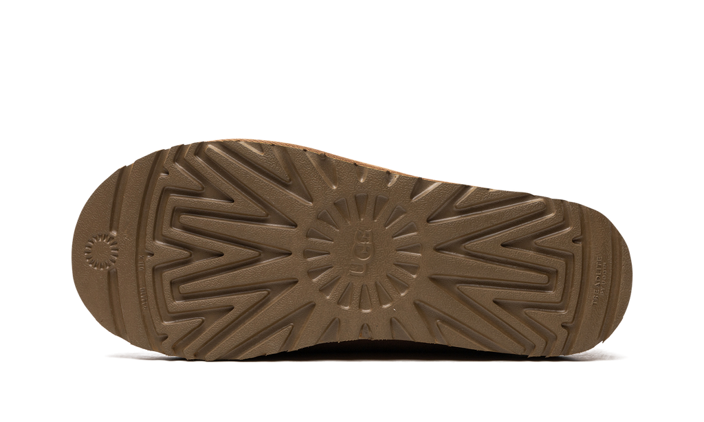 Ugg TASMAN WMNS "Chestnut" 5955 CHE