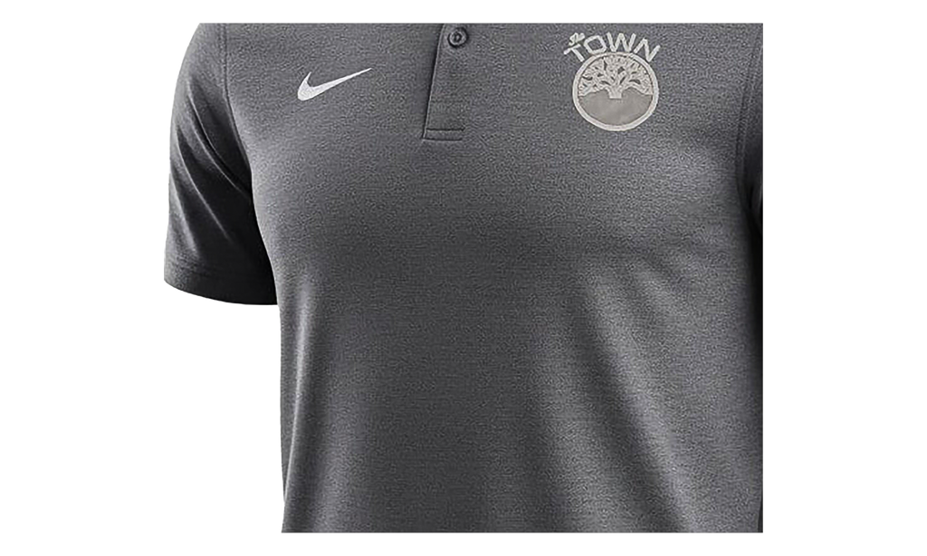 Nike NBA GOLDEN STATE WARRIORS THE TOWN DRY POLO "Gray" M51500 THETOWN