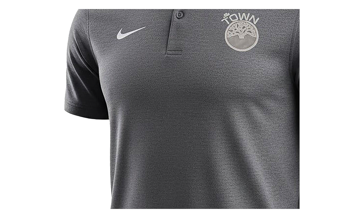 Nike NBA GOLDEN STATE WARRIORS THE TOWN DRY POLO "Gray" M51500 THETOWN