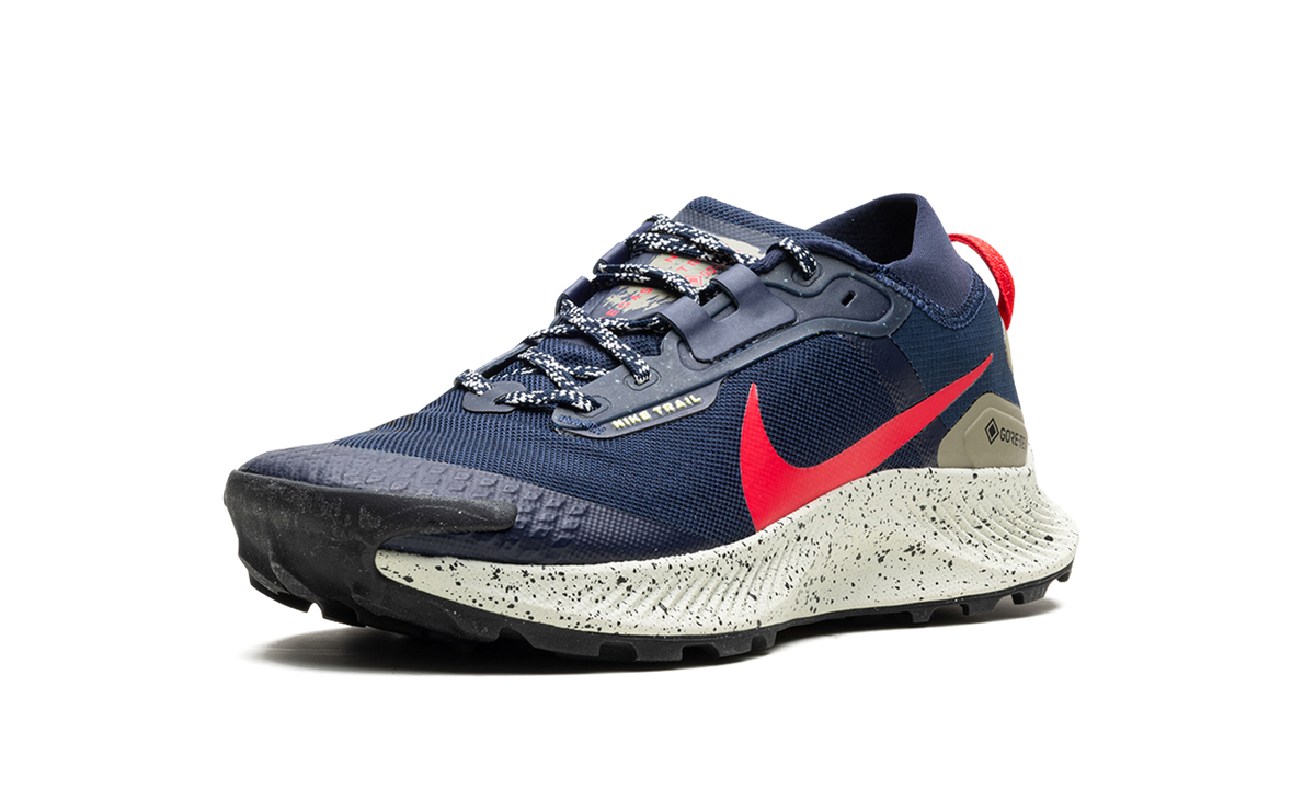 Nike Pegasus Trail 3 GTX "GORE-TEX" DC8793 401
