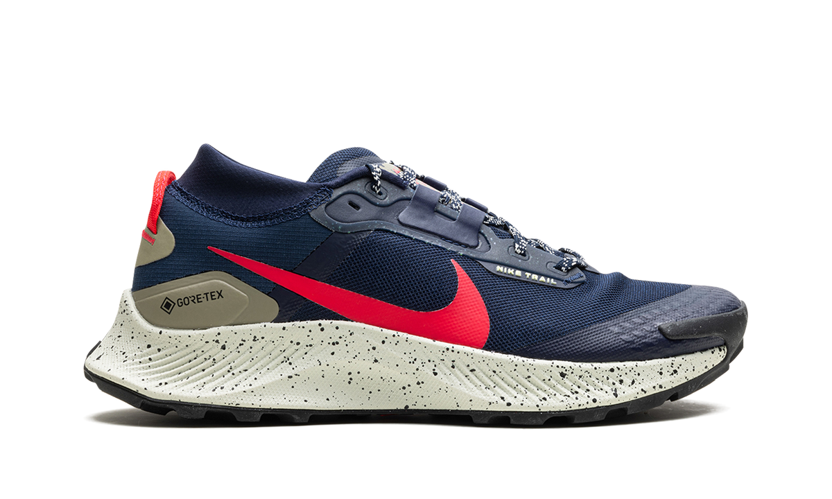 Nike Pegasus Trail 3 GTX "GORE-TEX" DC8793 401