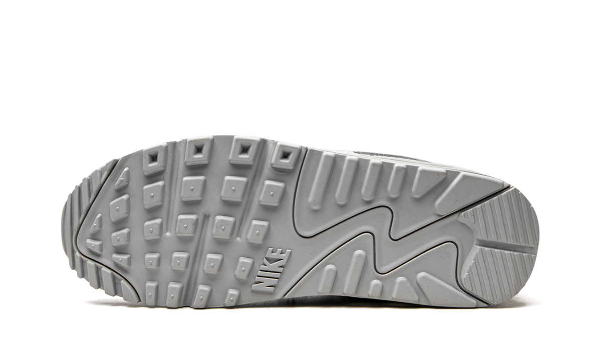 Nike Air Max 90 "Wolf Grey" CN8490 001