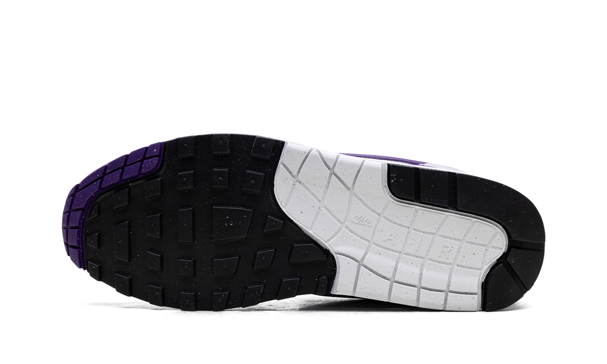 Nike Air Max 1 SC "Field Purple" DZ4549 101