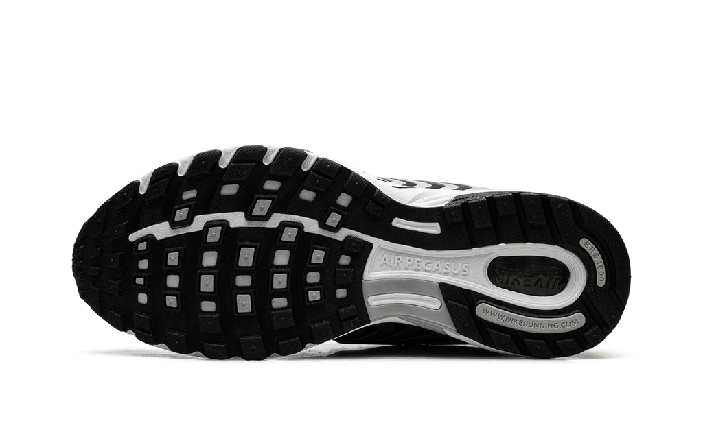 Nike Air Pegasus 2005 "Metallic Silver White Black" HQ3031 002