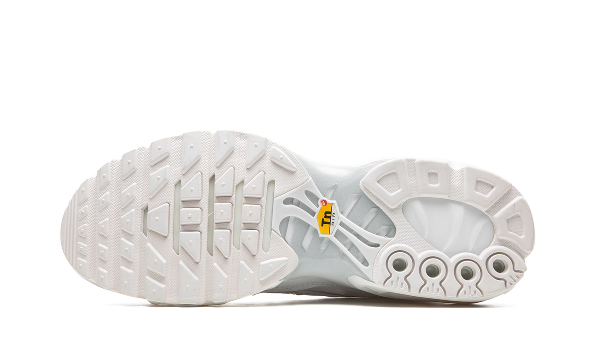 Nike AIR MAX PLUS WMNS "Pure Platinum" DM2362 100