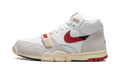 Nike Air Trainer 1 "Split - Chicago" DZ2547 100
