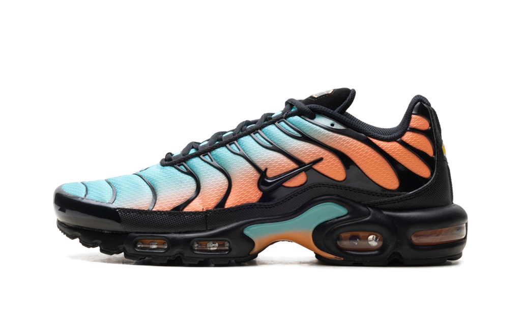 Nike Air Max Plus "South Beach" DM0032 022
