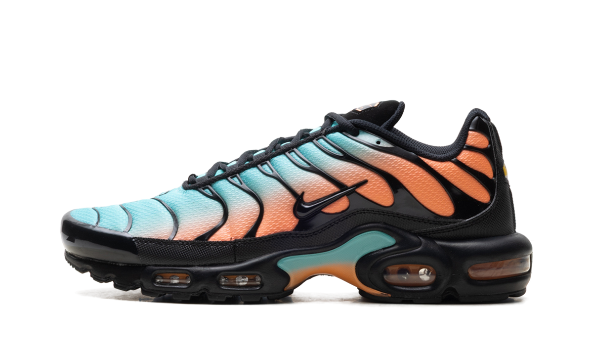 Nike Air Max Plus "South Beach" DM0032 022