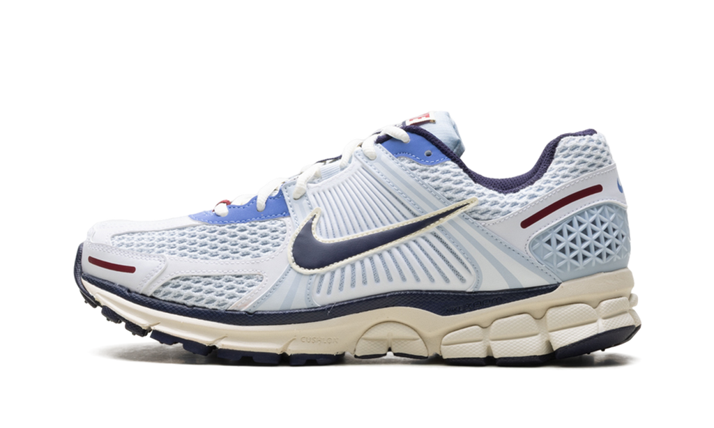 Nike Zoom Vomero 5 WMNS "Blue Tint" FV8111 451