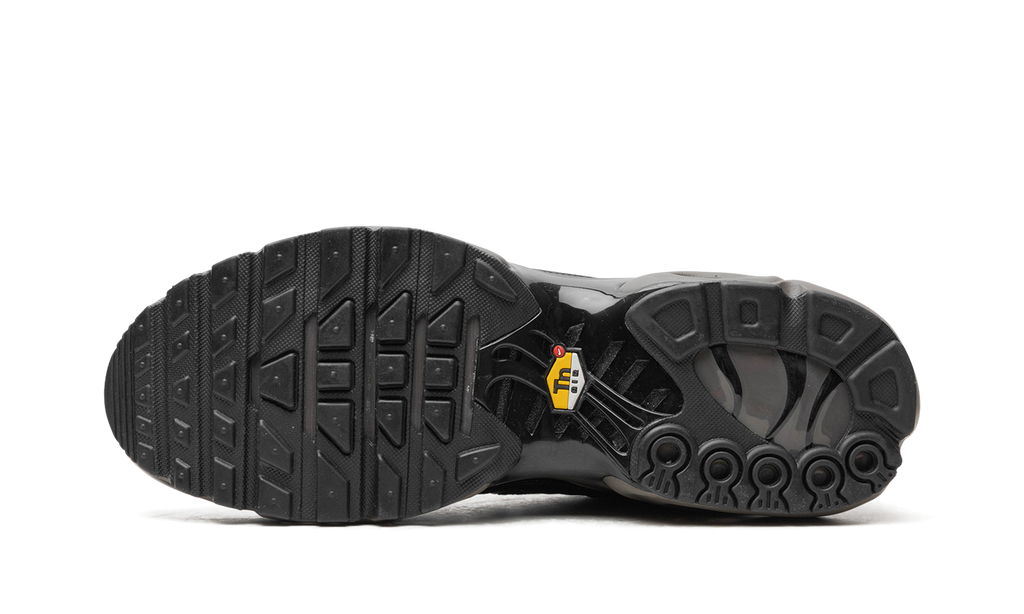 Nike Air Max Plus "Black Tea / Petra Brown" "Black Tea / Petra Brown" HJ4519 200