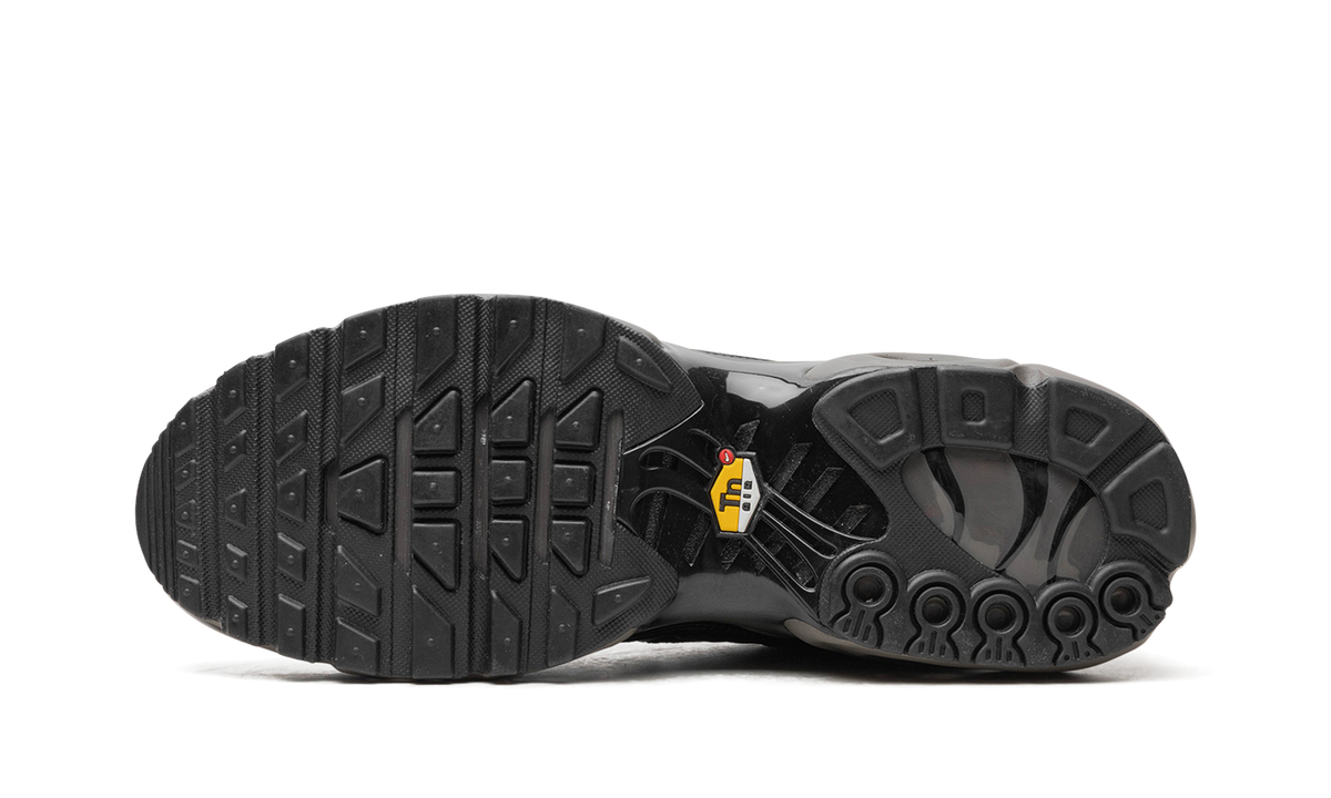Nike Air Max Plus "Black Tea / Petra Brown" "Black Tea / Petra Brown" HJ4519 200