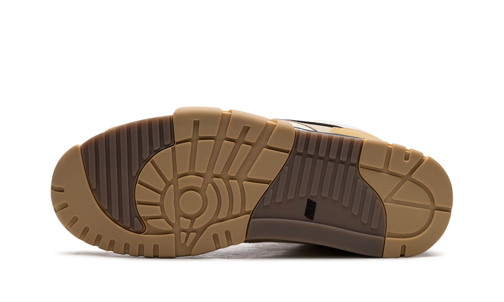 Nike Air Trainer 1 "Coconut Milk" DV7201 100