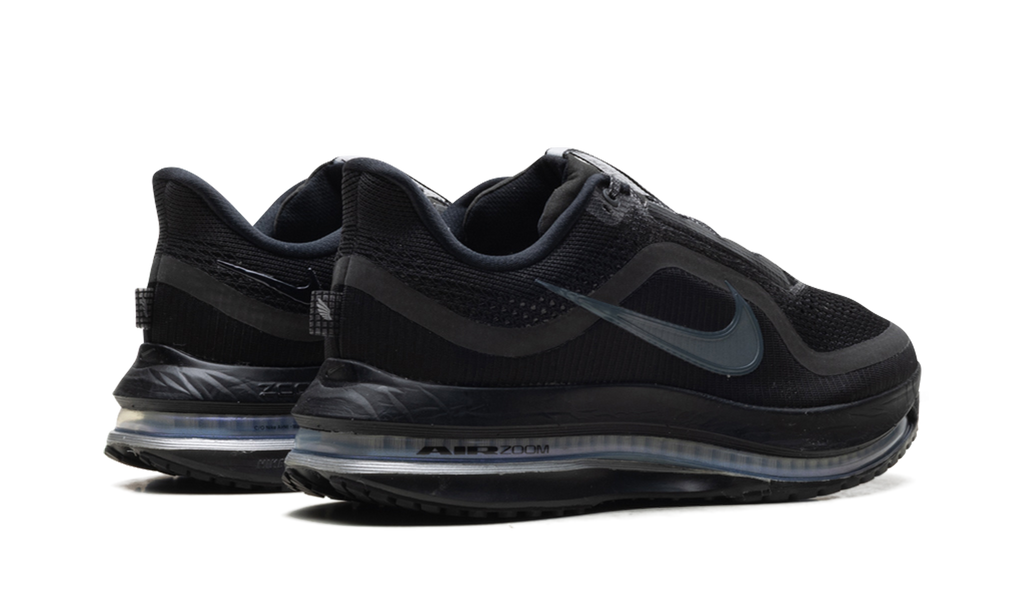 Nike Pegasus Premium "Black Metallic Silver" HQ2592 005