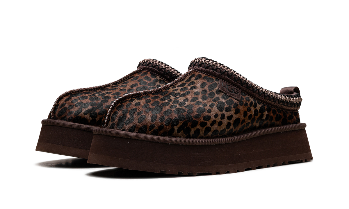 Ugg Tazz Caspian WMNS "burnt cedar" 1178430 BCDR