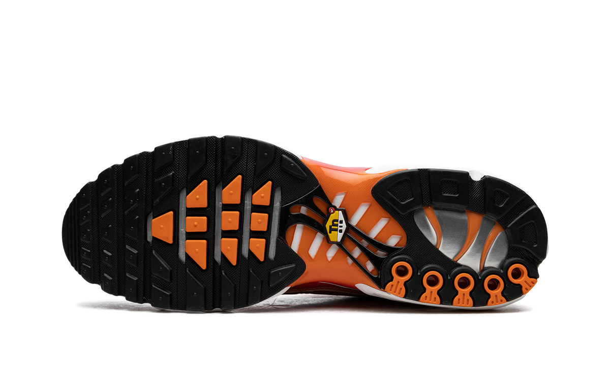 Nike Air Max Plus "Light Photography - Sport Red" DZ3531 600