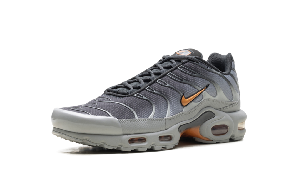 Nike Air Max Plus "Light Smoke Grey Hot Curry" DM0032 037