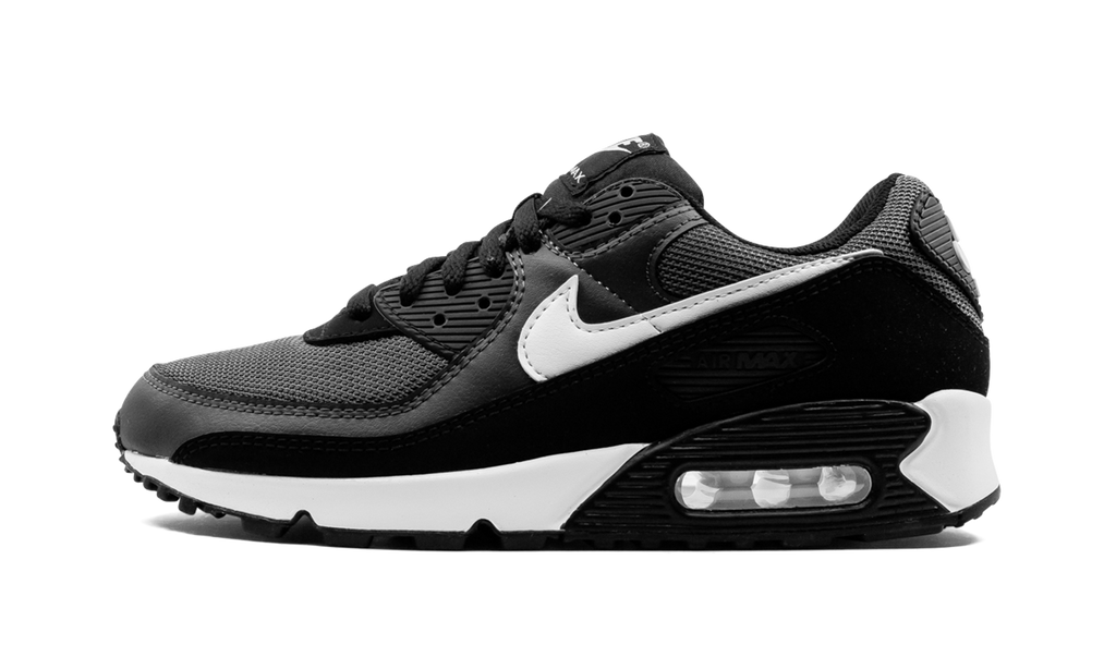 Nike Air Max 90 "Iron Grey" CN8490 002