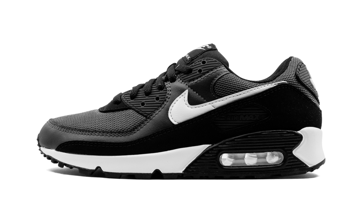 Nike Air Max 90 "Iron Grey" CN8490 002