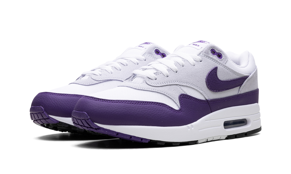 Nike Air Max 1 SC "Field Purple" DZ4549 101