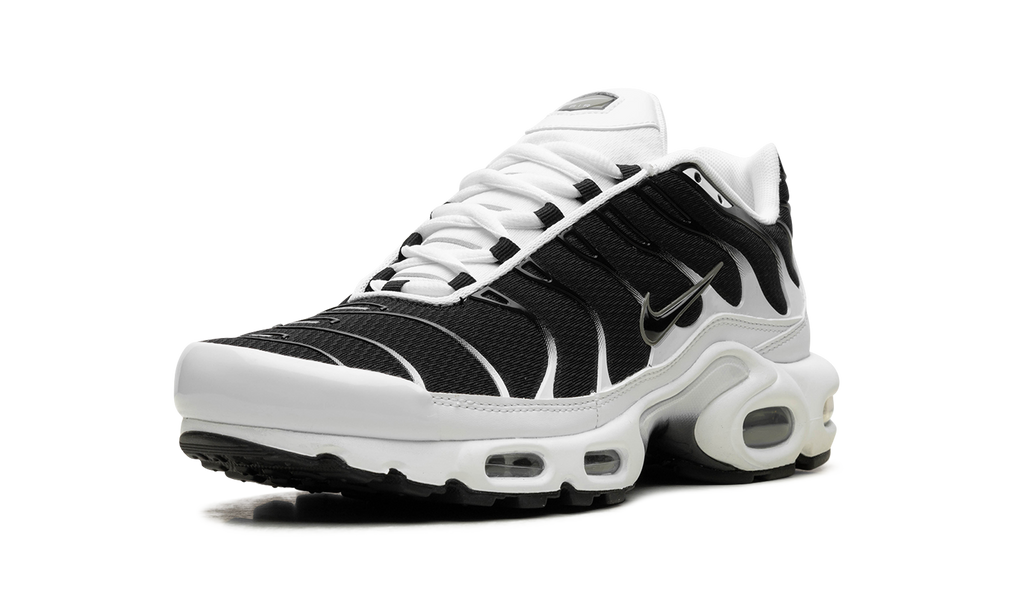 Nike Air Max Plus "Black / White" CT1094 102