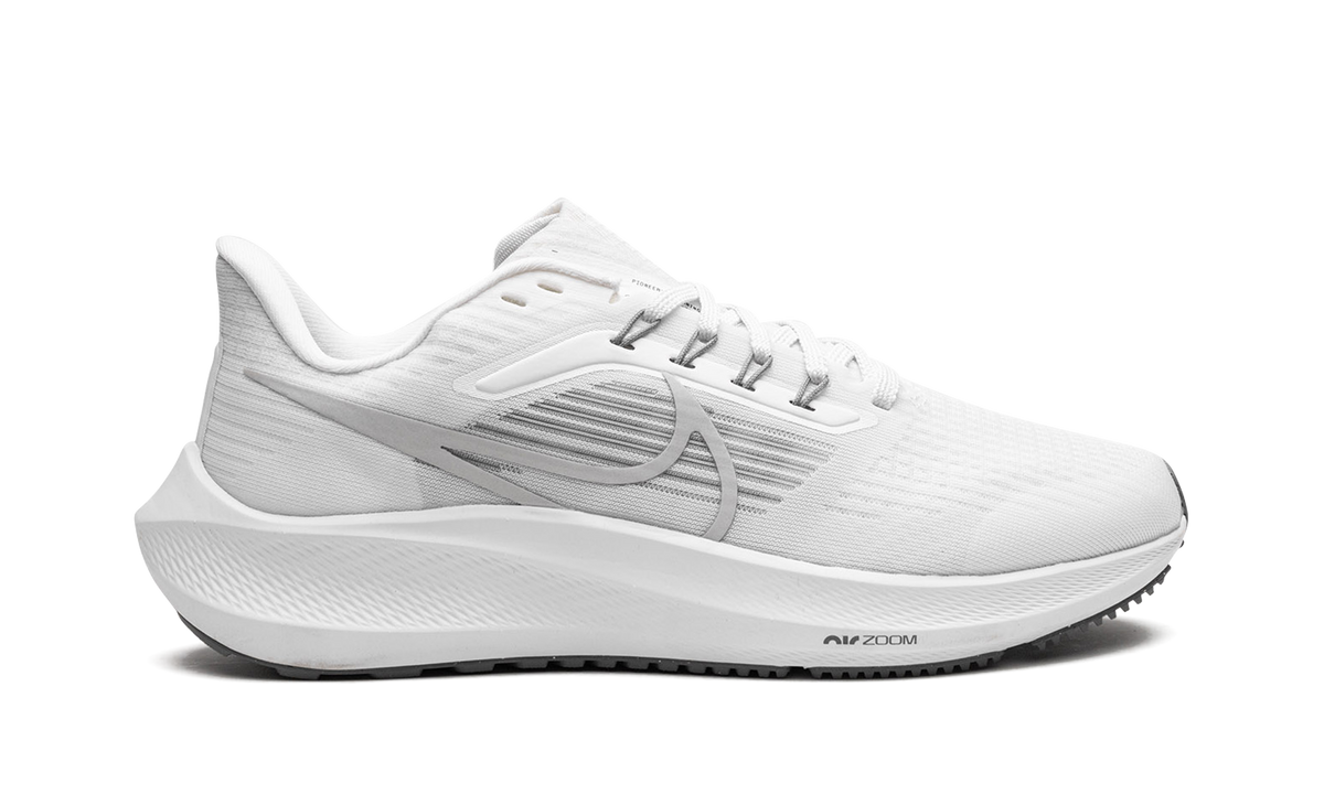 Nike Pegasus 39 "Grey Fog" DH4071 100