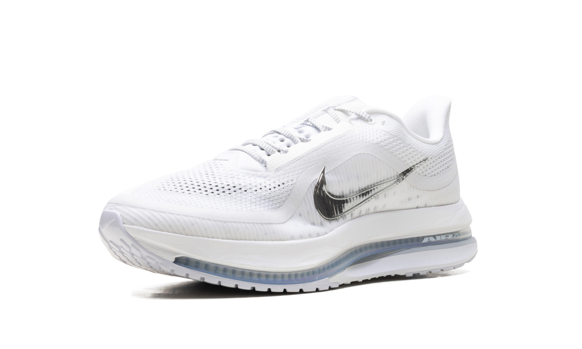 Nike Pegasus Premium "White Metallic Silver" HQ2592 102