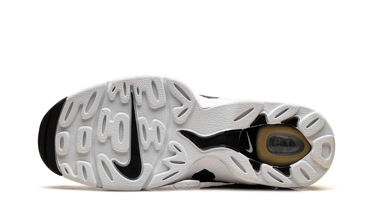 Nike Air DT Max 96 Low "Black Metallic Gold" IF5478 001
