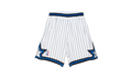 Mitchell & Ness NBA AUTHENTIC SHORTS MAGIC 92-93 "White" ASHRLG18037 OMAWHIT92
