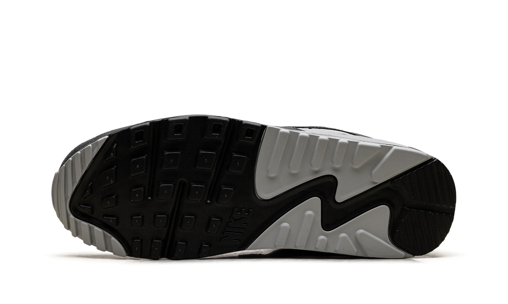 Nike Air Max 90 "Smoke Grey / Black" DM0029 020