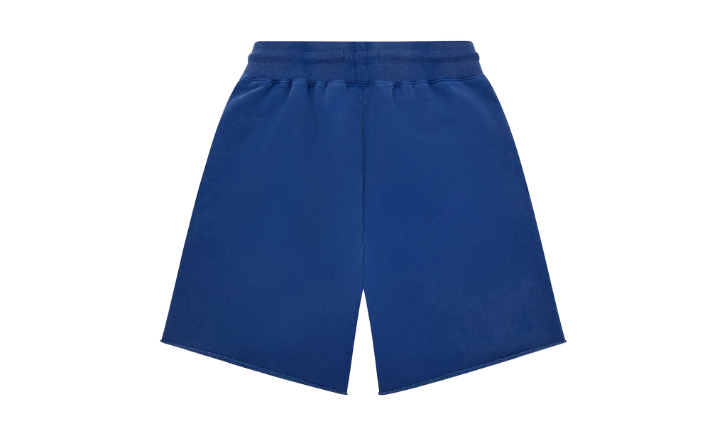 Purple Brand Screen Wordmark Sweatshort "Blue" P447 FMBA225