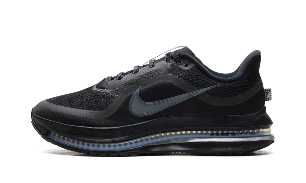 Nike Pegasus Premium "Black Metallic Silver" HQ2592 005