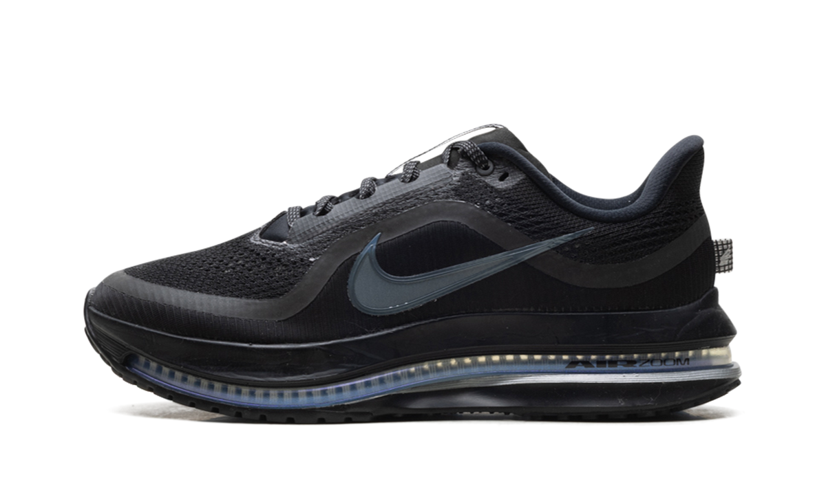 Nike Pegasus Premium "Black Metallic Silver" HQ2592 005