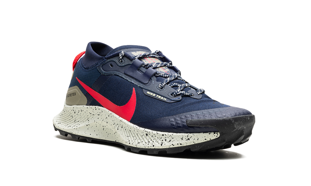 Nike Pegasus Trail 3 GTX "GORE-TEX" DC8793 401