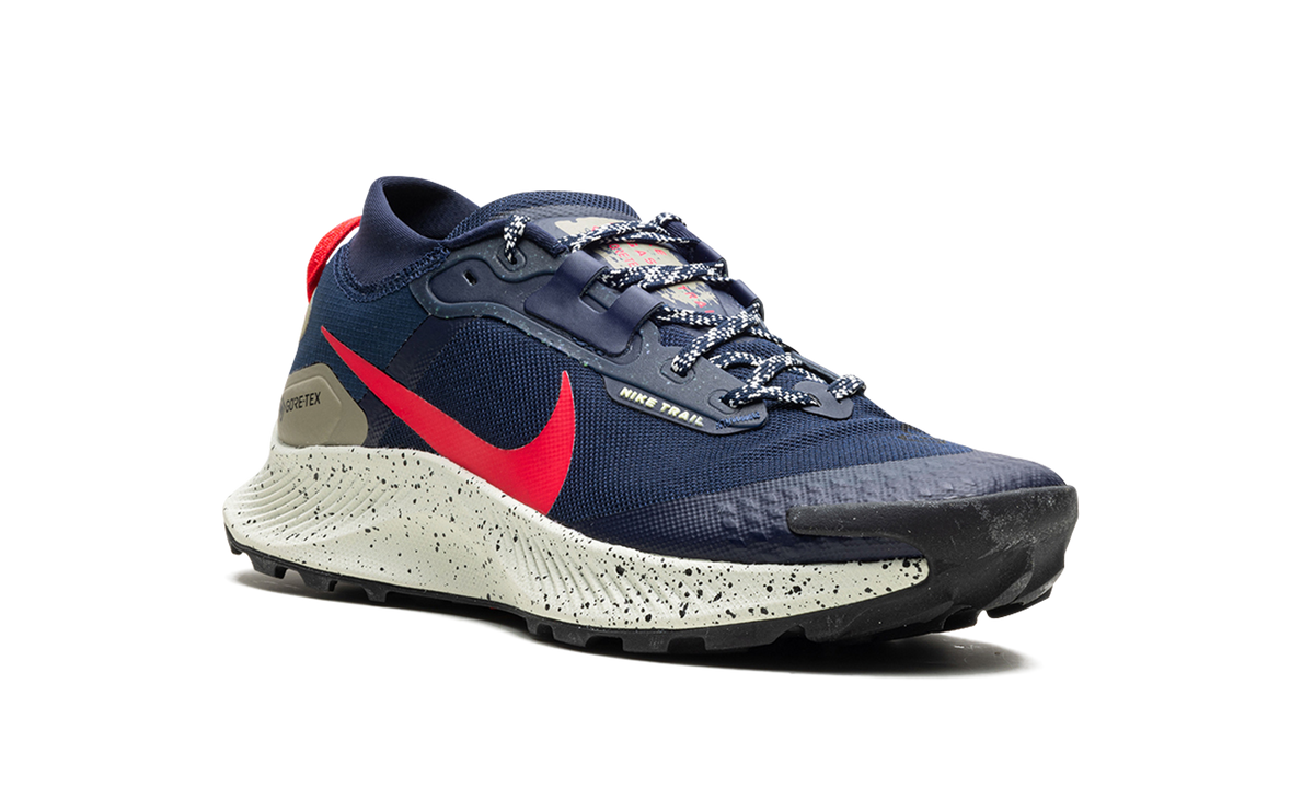 Nike Pegasus Trail 3 GTX "GORE-TEX" DC8793 401