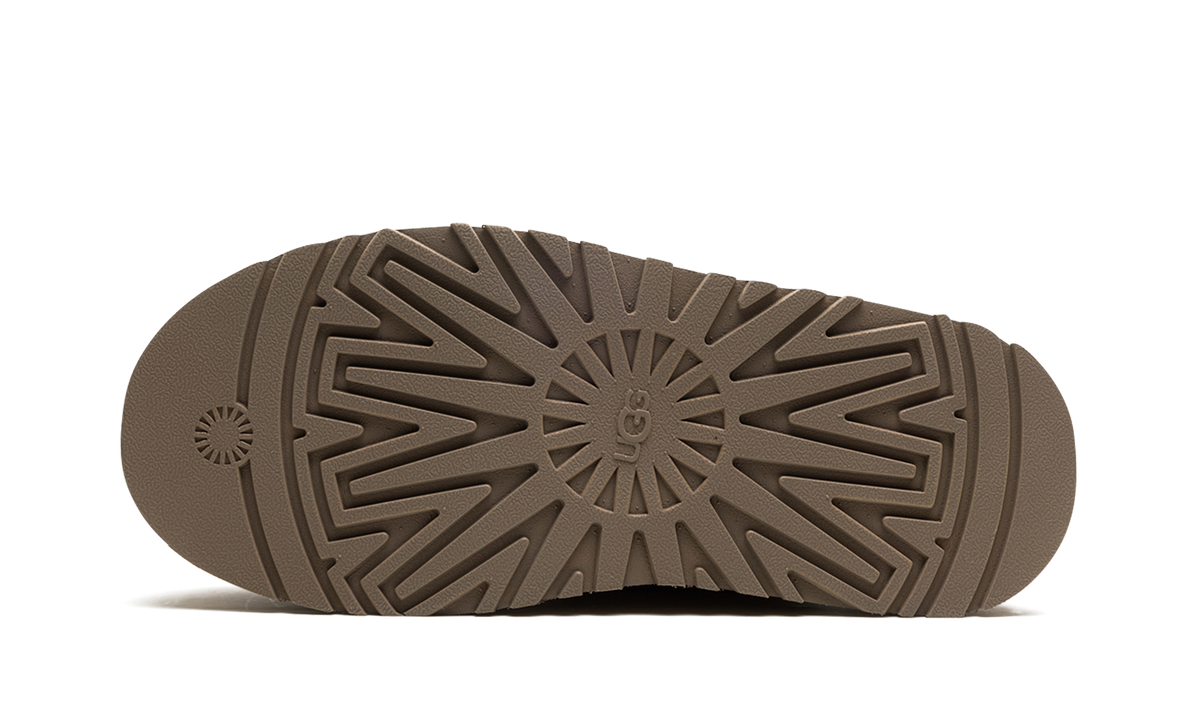 Ugg TAZZ WMNS "Chestnut" 1152677 CHE