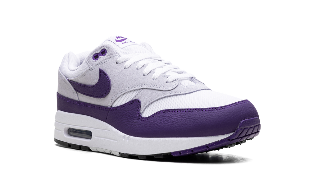 Nike Air Max 1 SC "Field Purple" DZ4549 101