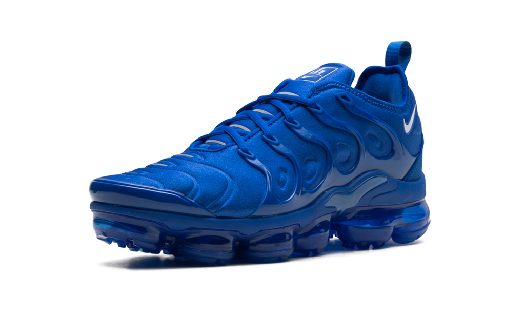 Nike Air VaporMax Plus "Blue" HJ9148 480