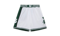 Mitchell & Ness Shorts "NCAA Mich State 1999" ASHR7829 MSU99PPPWHIT