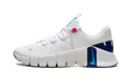 Nike FREE METCON 5 WMNS "WHITE AQUARIUS BLUE" DV3950 103