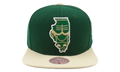 MITCHELL & NESS NBA State Outline Snapback Hat "Chicago Bulls" 6HSSLR21359 CBUGREN