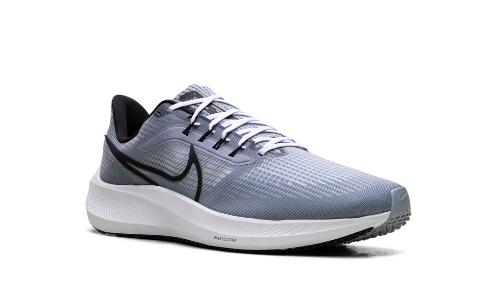 Nike Air Zoom Pegasus 39 "Ashen Slate / Black" DH4071 401