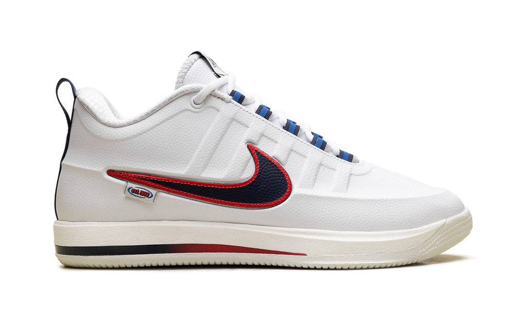 Nike Book 2 "WNBA 30th Anniversary" IR6333 100