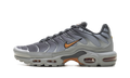 Nike Air Max Plus "Light Smoke Grey Hot Curry" DM0032 037
