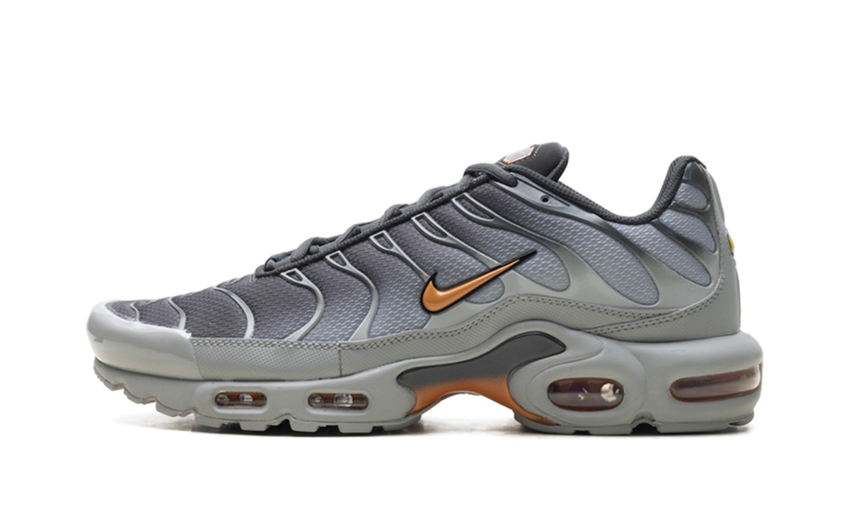 Nike Air Max Plus "Light Smoke Grey Hot Curry" DM0032 037