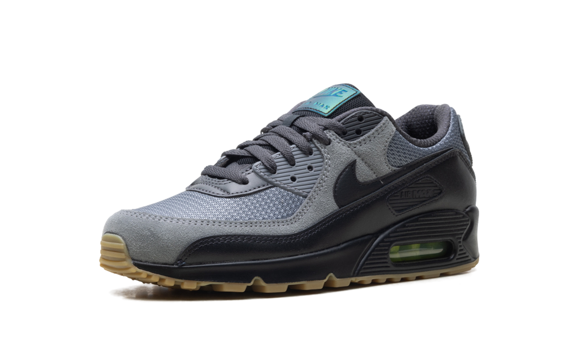 Nike Air Max 90 "Smoke Grey Black" IQ0580 084