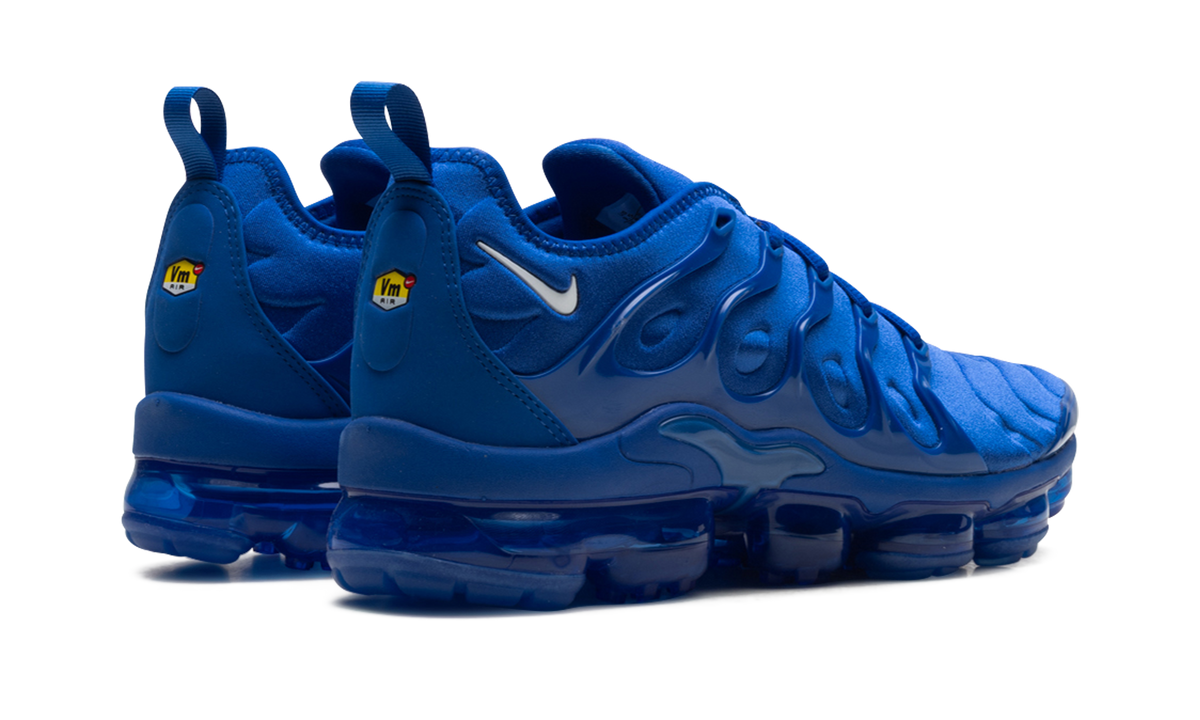 Nike Air VaporMax Plus "Blue" HJ9148 480