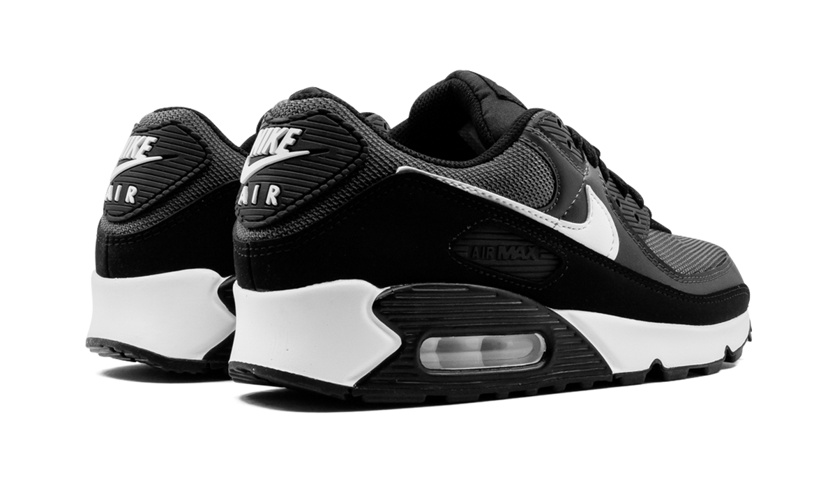 Nike Air Max 90 "Iron Grey" CN8490 002