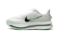 Nike Pegasus Premium WMNS "White Mint Foam" HQ2593 103